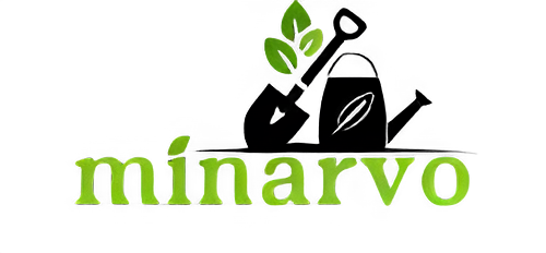 Untitled design (13) (1)