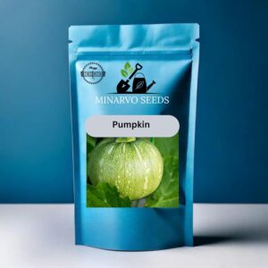 Pumpkin Seeds( Pack of 3grm 15 seeds)