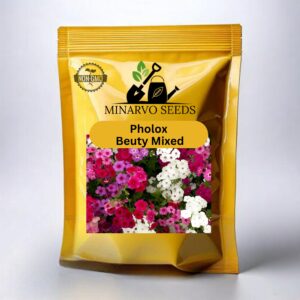 Phlox Beauty mix ( Hybrid ) flower seeds Pack of 3g