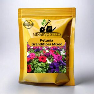 Petunia flower seeds | Grandiflora Varity F1 Draft Varity