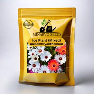 Ice Plant mix ( Hybrid ) flower seeds Pack of 3g