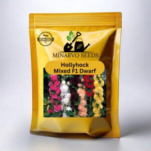 Hollyhock F1 mix ( Draft Hybrid ) flower seeds Pack of 3g