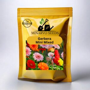 Gerbera mix ( Hybrid ) flower seeds Pack of 3g
