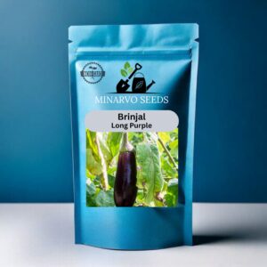 Brinjal Long Purple Hybrid (Pack of 3grm)