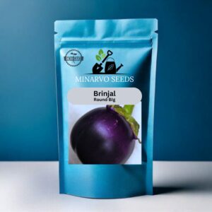 Brinjal Big (Purple) (Pack of 3grm) Hybrid