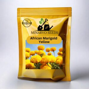 African Marigold flower seeds | Yellow Color Varity