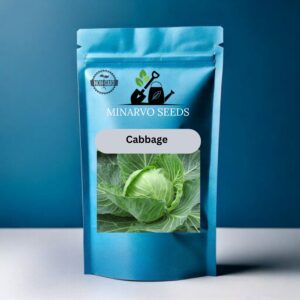 Cabbage seeds ( Pack of 3grm)Hybrid
