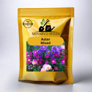Aster mix( Hybrid ) flower seeds Pack of 3g