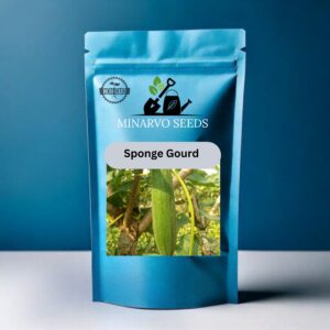 sponge Gourd Hybrid Seeds( 10 Seeds)