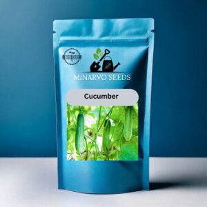 Cucumber Hybrid Seeds (Pack of 3 Grm,30 Seeds)