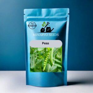 Peas Hybrid Seeds( Pack of 3grm / 20 Seeds)