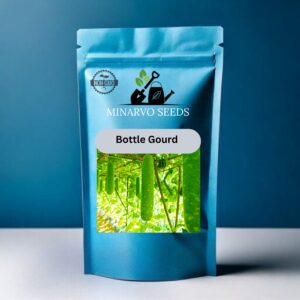 Bottle Gourd Hybrid Seeds( Pack of 10 Seeds)