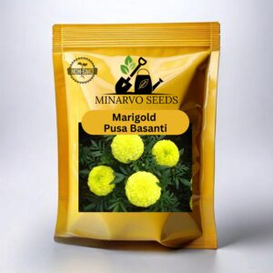 Marigold flower seeds | Pusa Basanti Varity (Yellow)