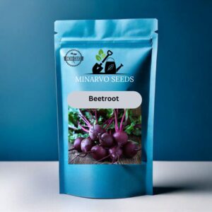 Beetroot Hybrid Seeds( Pack of 3grm / 50 Seeds)