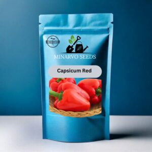 Capsicums Red Seeds Hybrid( Pack of 3grm)