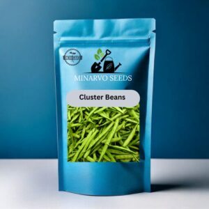 Cluster Bean Hybrid Seeds( Pack of 3grm / 25 Seeds)