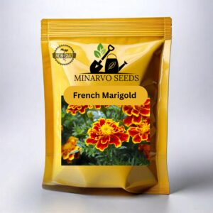 French Marigold flower seeds