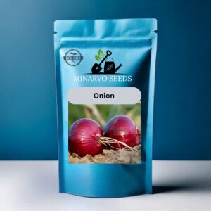 Onion seeds Hybrid( Pack of 3grm)