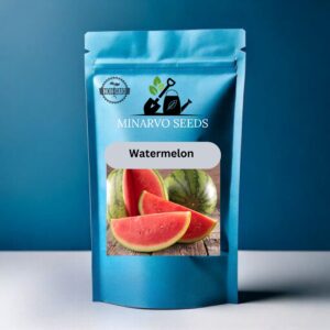 Muskmelon seeds Hybrid 15 Seeds(Pack of 3grm)