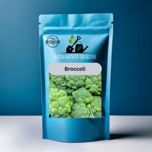 Broccoli  Seeds Hybrid ( Pack of 3grm)