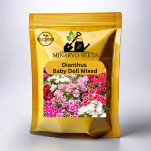 Dianthus Baby Doll Mix ( Hybrid ) flower seeds Pack of 3g