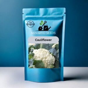 Cauliflower Seeds ( Pack of 3grm)Hybrid