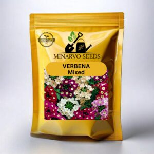 Verbena Mix ( Hybrid ) flower seeds Pack of 3g