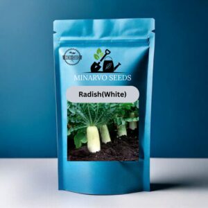 Radish White Hybrid Seeds( Pack of 3grm / 50 Seeds)