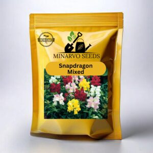 Snapdragon Mix ( Hybrid ) flower seeds Pack of 3g