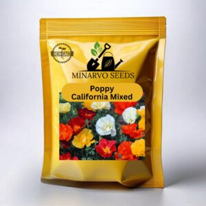 Poppy California mix ( Hybrid ) flower seeds Pack of 3g