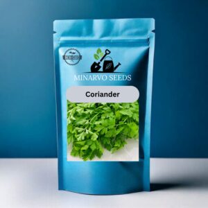 Coriander Seeds( Available in Pack of 10grm, 50grm, 100grm, 250grm, 500grm)
