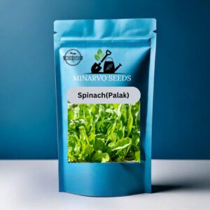 Spinach seeds ( Available in Pack of 10grm, 50grm, 100grm, 250grm, 500grm)